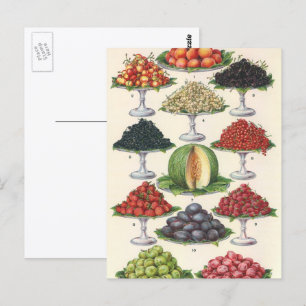 Carte Postale Aliments Anciens Fruits Assortis sur Plateaux pour