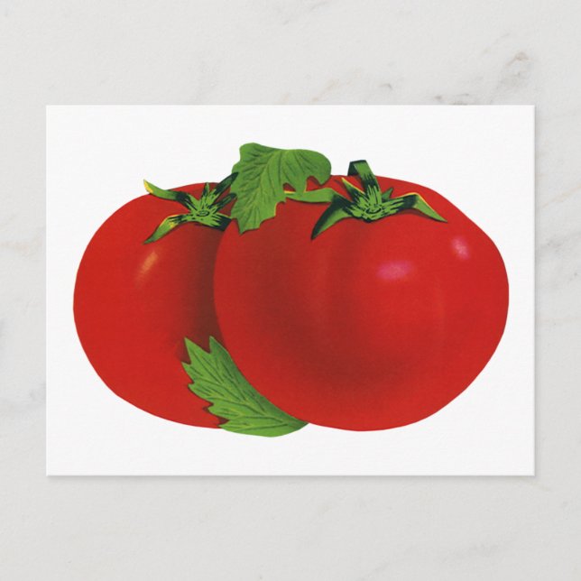Carte Postale Aliments Anciens, Tomate Rouge Mûre Héritée Biolog (Devant)