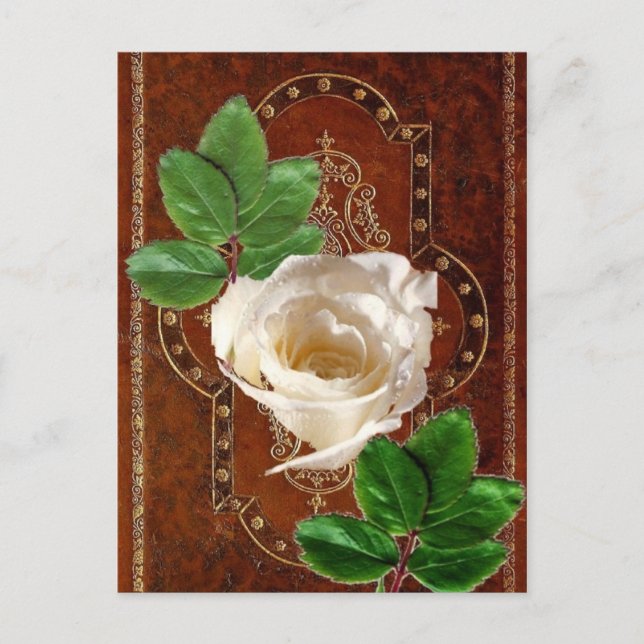 Carte Postale Alle de Wercken (Devant)
