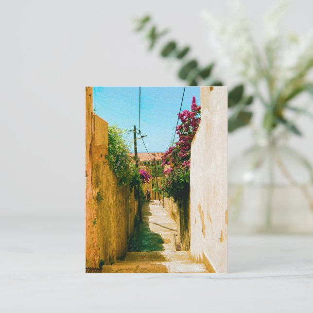 Carte Postale Allée de Dubrovnik - Croatie  (Debout devant)