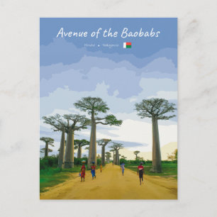 Carte Postale Allée des Baobabs, Madagascar - Paysage