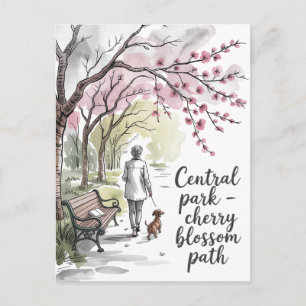 Carte Postale allée des cerisiers en fleurs de Central Park