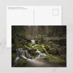 Carte Postale Allemagne de la Forêt Noire