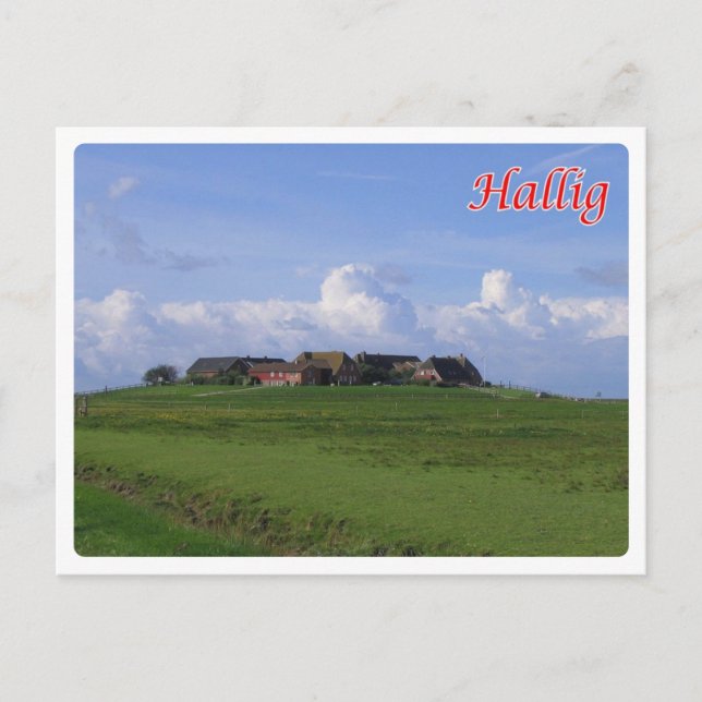 Carte Postale Allemagne - Hallig - (Devant)