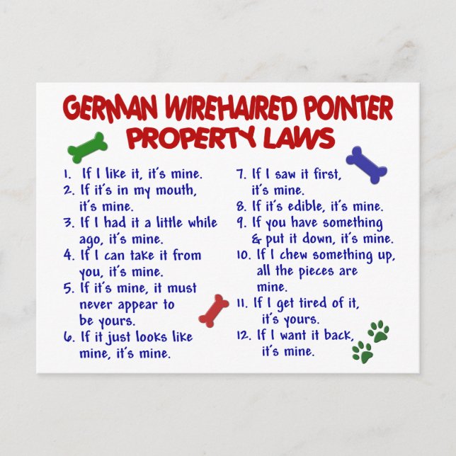 Carte Postale ALLEMAND À POILS DURS POINTER Lois sur la propriét (Devant)