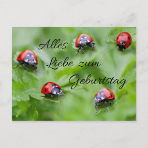 Carte Postale Alles Liebe zum Geburtstag !