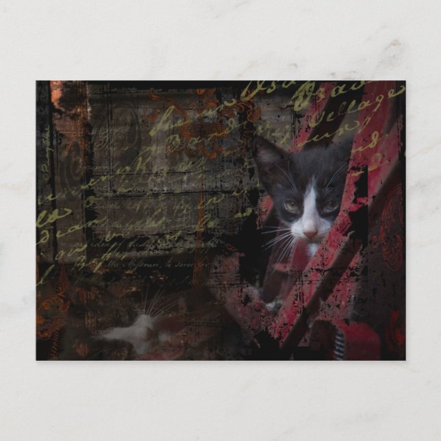 Carte Postale alley 007 postcard (Devant)