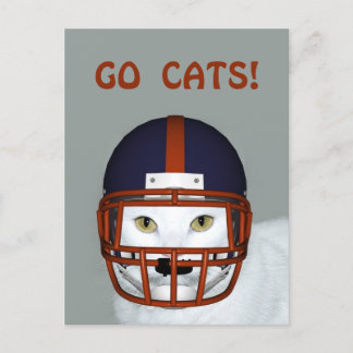 CARTE POSTALE ALLEZ LES CHATS !