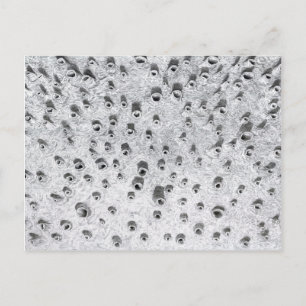 Carte Postale allí, a dryer world