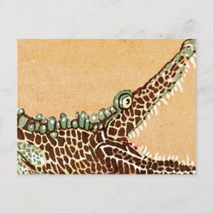 Carte Postale Alligator