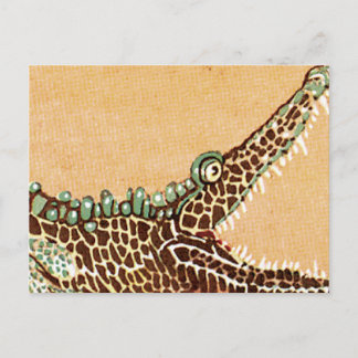 Carte Postale Alligator