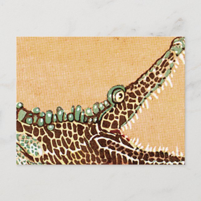 Carte Postale Alligator (Devant)