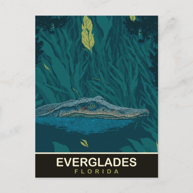 Carte Postale Alligator aux Everglades, Floride, Voyage (Devant)
