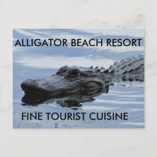Carte postale Alligator Beach Resort