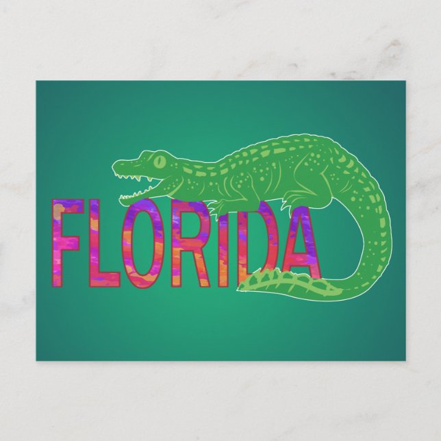 Carte Postale Alligator de Floride (Devant)
