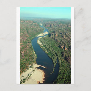 Carte Postale Alligator Est Vue sur la rivière Parc national Kak