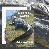 Alligator Everglades Photographie