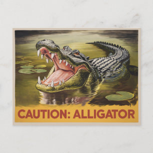 Carte Postale Alligator - Illustration de prudence Vintage inspi