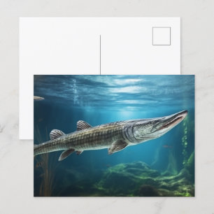 Carte Postale Alligator poisson à sucre nager Poisson