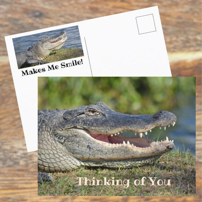 Carte Postale Alligator souriant penser à vous (Créateur téléchargé)