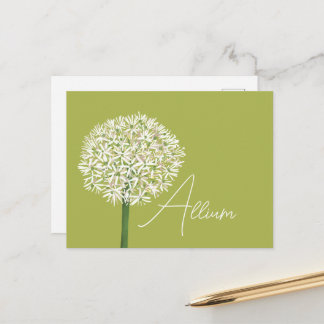 Carte Postale  Allium Flower Botanical Art | Elegant Flora