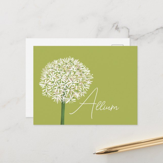 Carte Postale  Allium Flower Botanical Art | Elegant Flora (Devant/Arrière en situation)