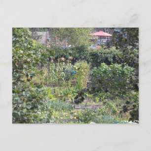Carte Postale Allocations au pont Hebden