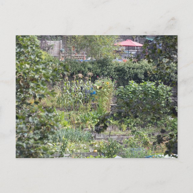 Carte Postale Allocations au pont Hebden (Devant)
