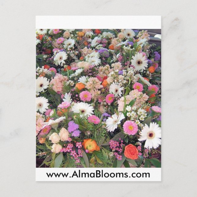 Carte Postale Alma Blooms 1 (Devant)