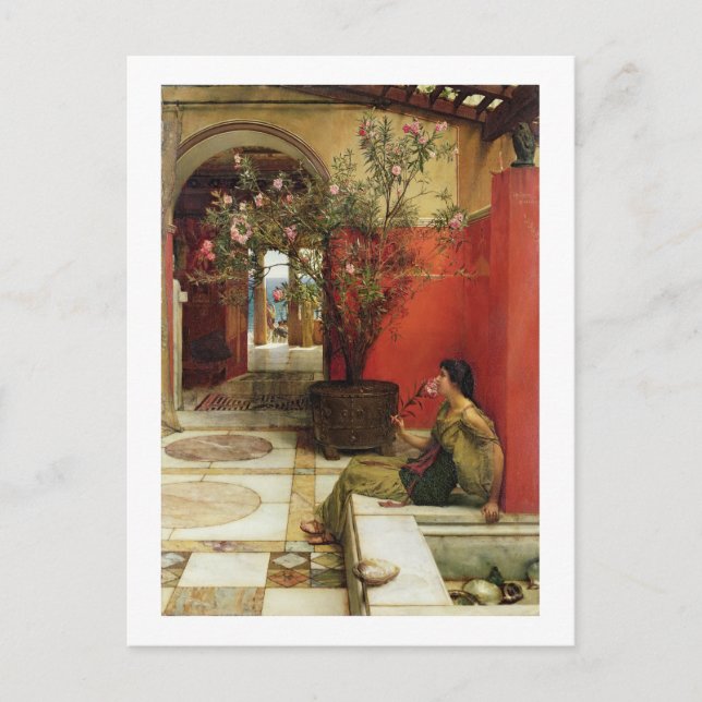 Carte Postale Alma-Tadema | An Oleander, 1882 (Devant)