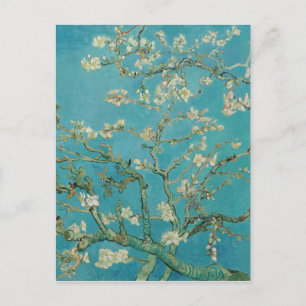 Carte Postale Almond Blossom