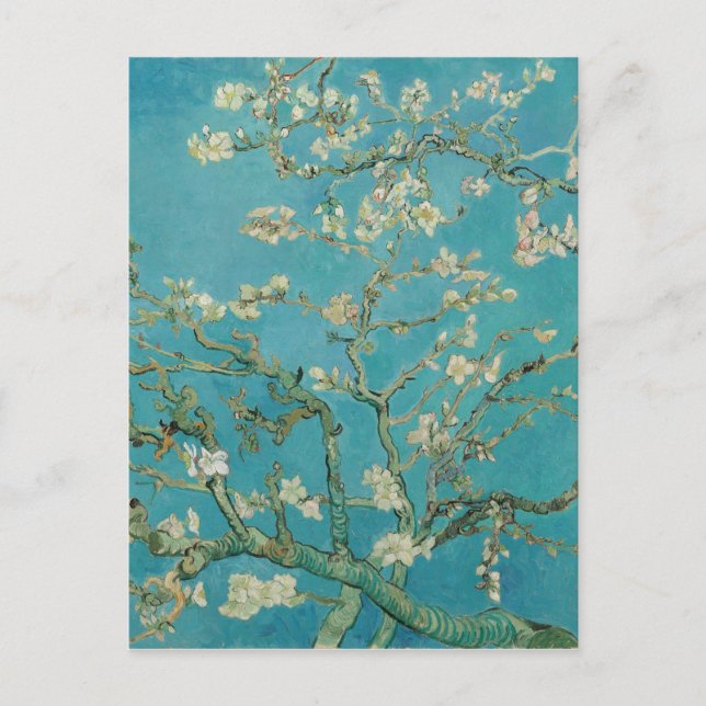Carte Postale Almond Blossom (Devant)