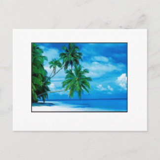 Carte Postale Aloha