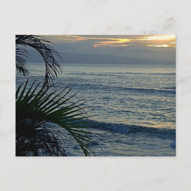 Carte Postale Aloha (Devant)