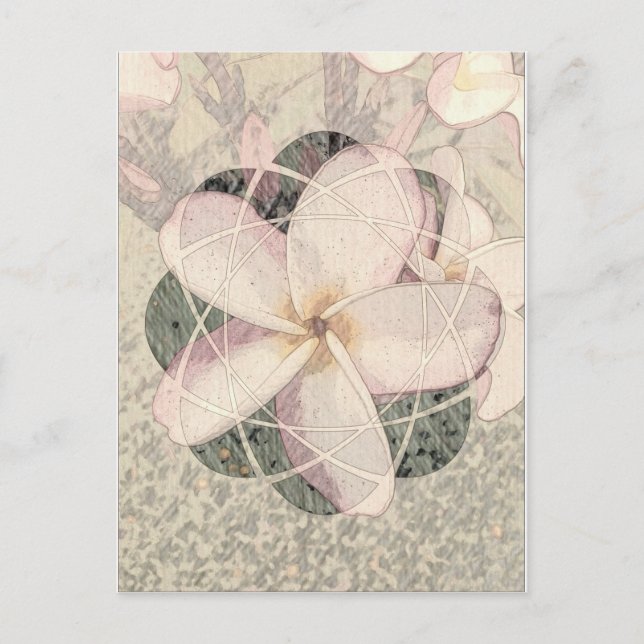 Carte Postale Aloha Blossom (Devant)