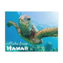 Aloha de Hawaii Honu Green Sea Turtle