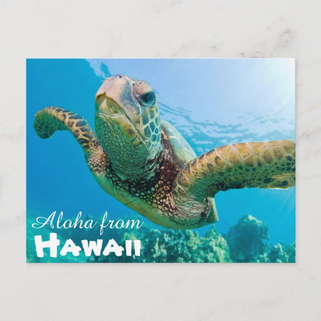Carte Postale Aloha de Hawaii Honu Green Sea Turtle (Devant)