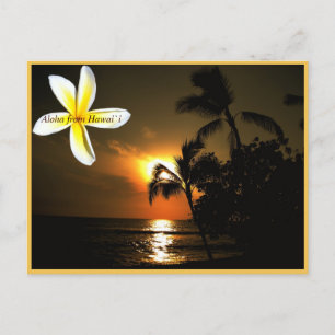 Carte Postale Aloha de Hawaii Plumeria Sunset