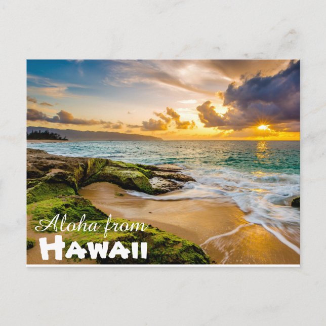 Carte Postale Aloha de Hawaii Postcard (Devant)