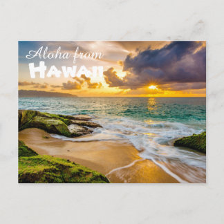 Carte Postale Aloha de Hawaii Postcard