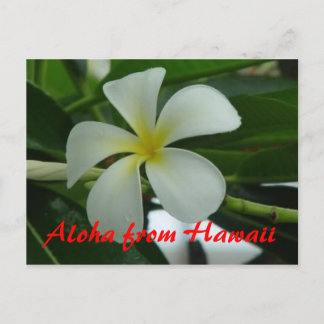 Carte Postale Aloha d'Hawaii