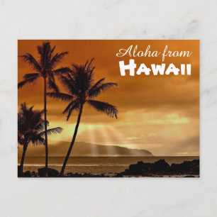 Carte Postale Aloha d'Hawaii