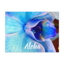 Aloha en bleu
