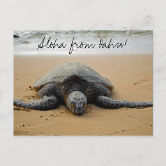 Carte Postale Aloha from Oahu! Postcard with Sea Turtle