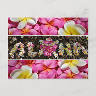 Carte Postale Aloha Honu Turtle Hawaii Plumeria Flower Paradise