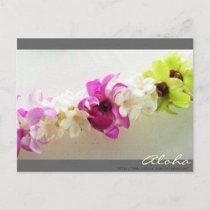 Carte postale Aloha Lei Hawaii