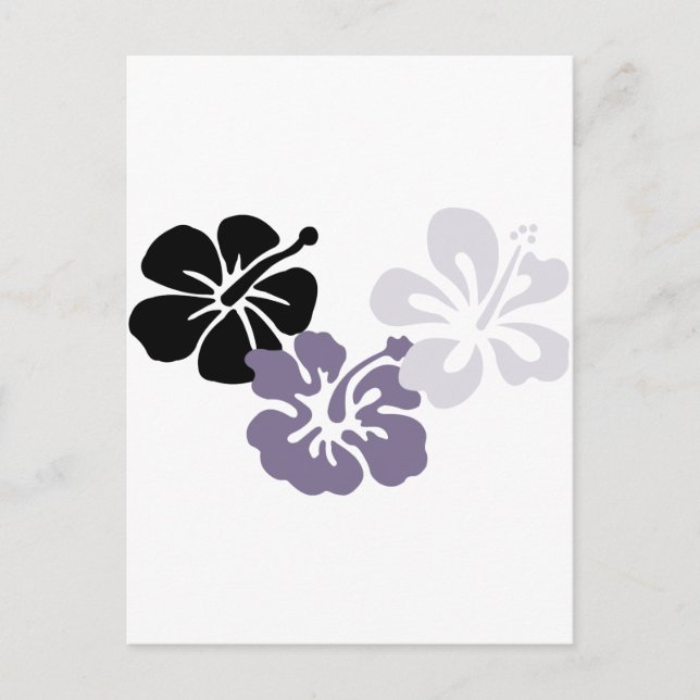 Carte Postale aloha mahalo hibiscus gris (Devant)