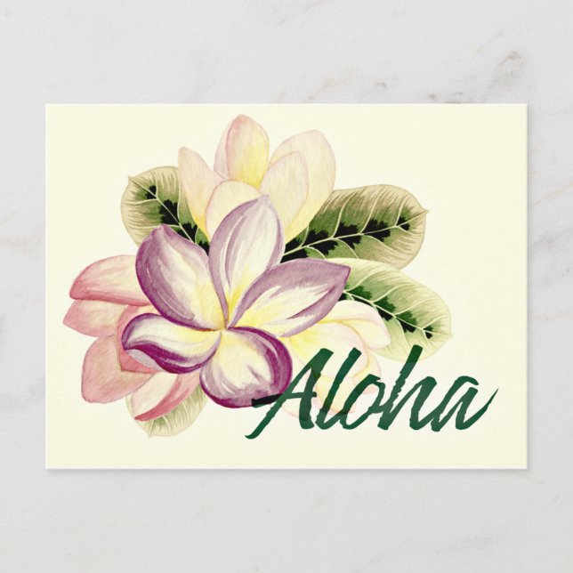 Carte Postale Aloha Plumeria (Devant)