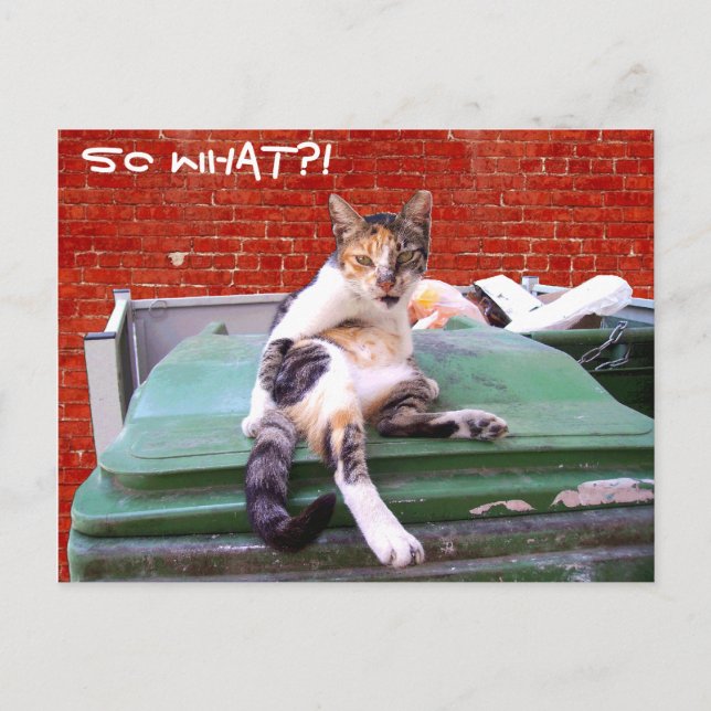 Carte Postale Alors quoi (Devant)