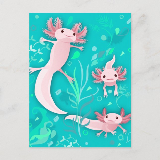 Carte postale Alotta Axolotls (Devant)